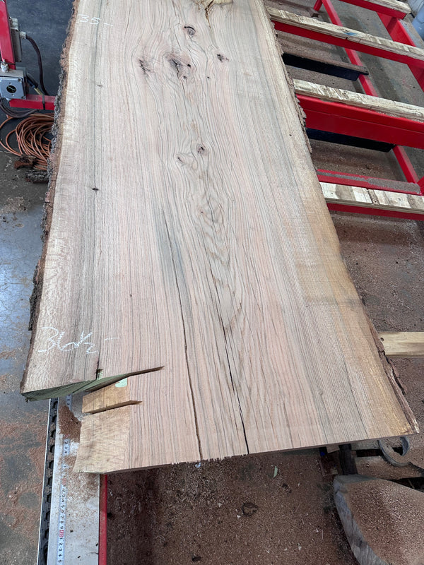 Red Oak #RO1502