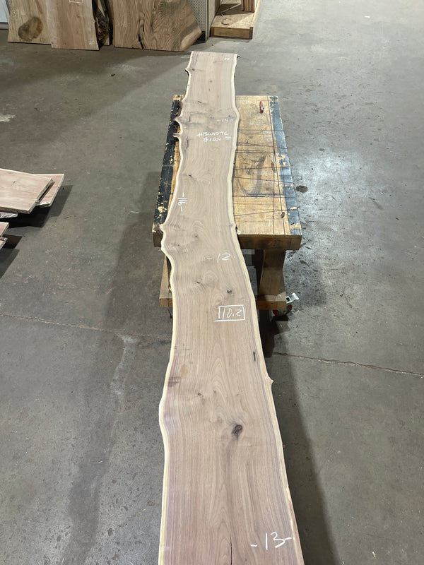 Black Walnut #BW1576