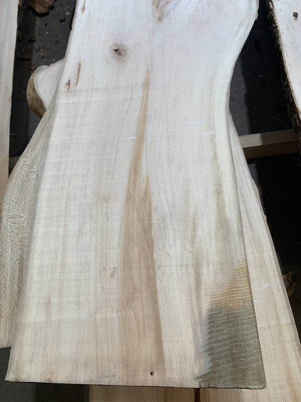 Sycamore #SY307