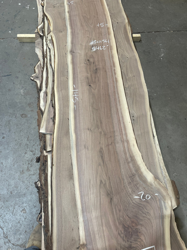 Black Walnut #BW1561