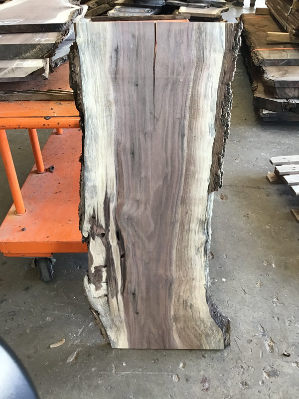 Black Walnut Slab #BW15242
