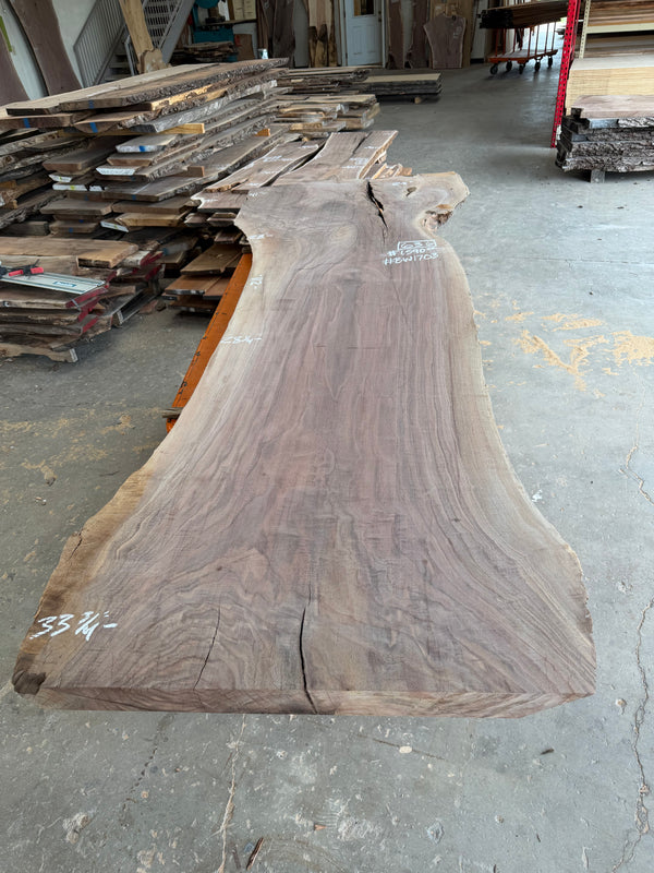 Black Walnut #BW1703