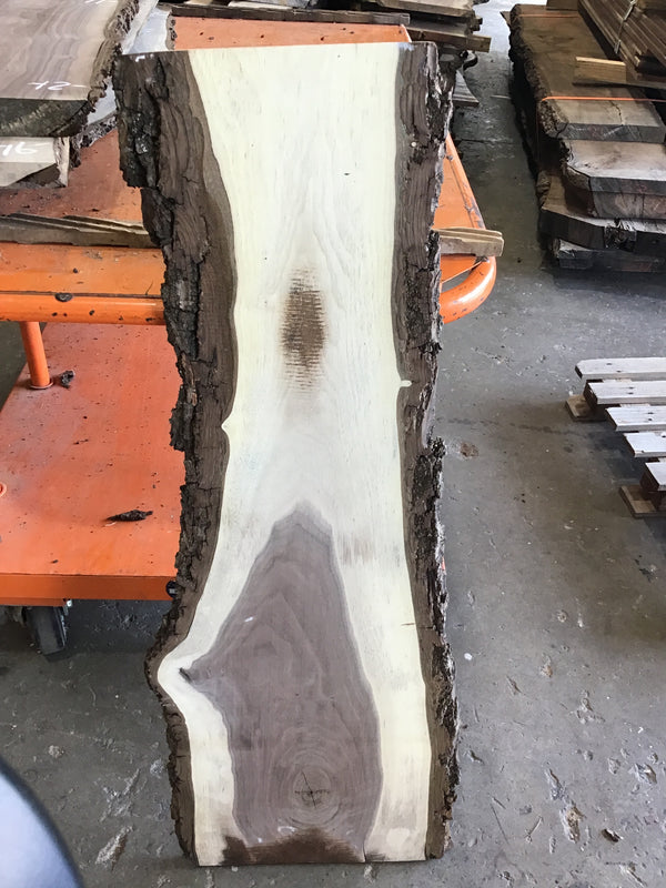 Black Walnut Slab #BW15243 #CB