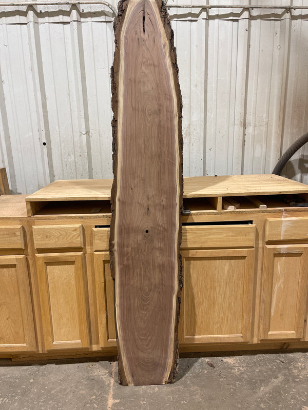 Black Walnut #BW1591