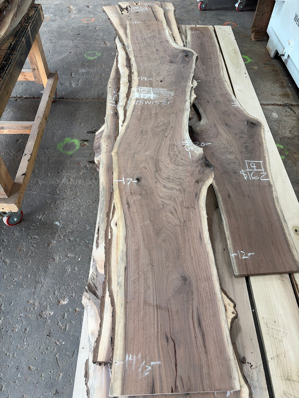Black Walnut #BW1521