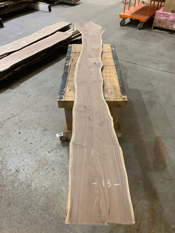 Black Walnut #BW1562