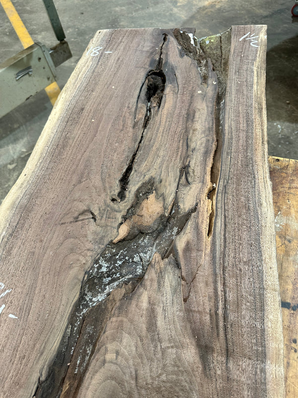 Black Walnut #BW15167