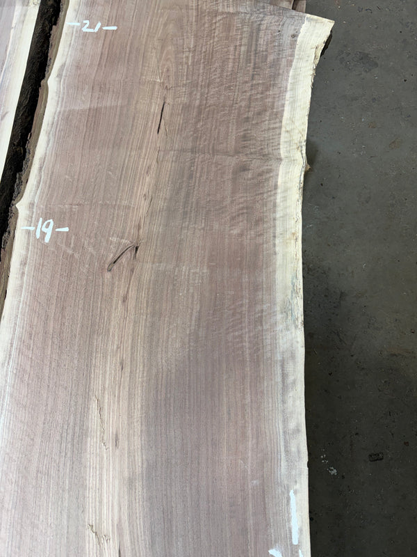 Black Walnut #BW1562