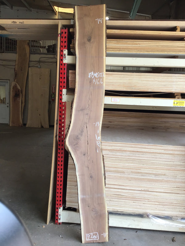 Black Walnut Slab #BW15222