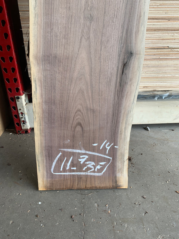 Black Walnut Slab #BW15228