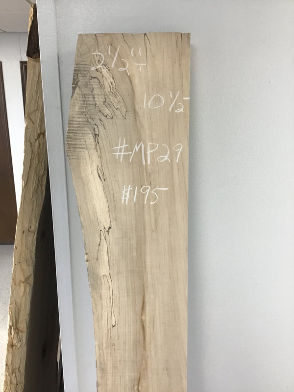 Maple #MP29