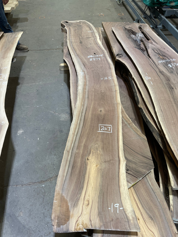 Black Walnut #BW15142
