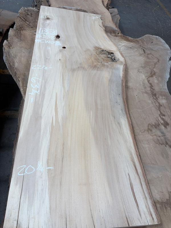 Cotton Wood #CW03