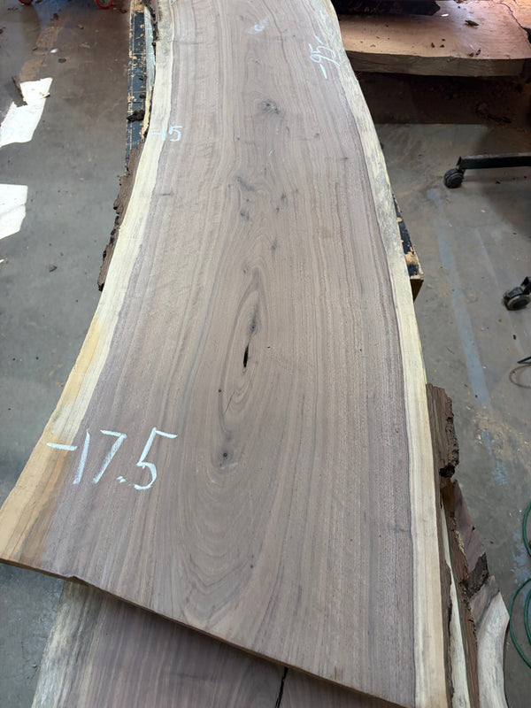 Black Walnut #BW1534