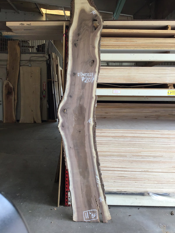 Black walnut Slab  #BW15211