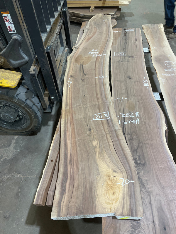 Black Walnut #BW15141