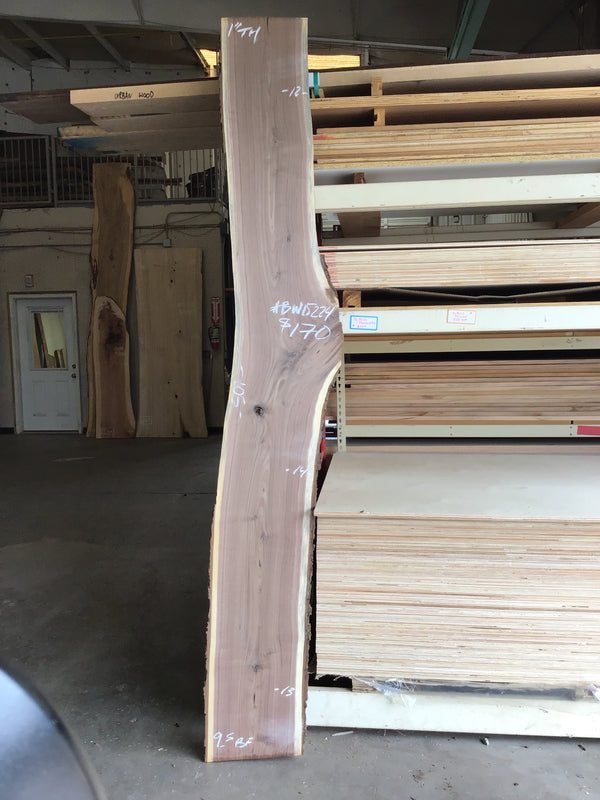 Black Walnut #BW15224