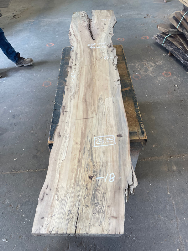 Spalted Elm #RE005