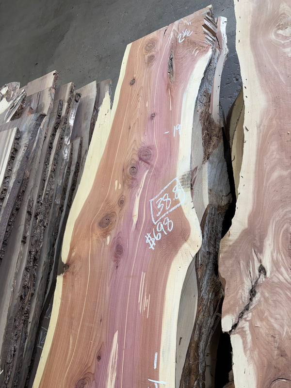 Cedar #C1703