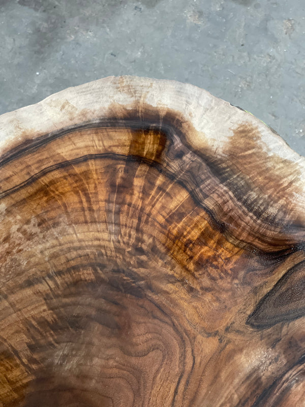Black Walnut #BW15149