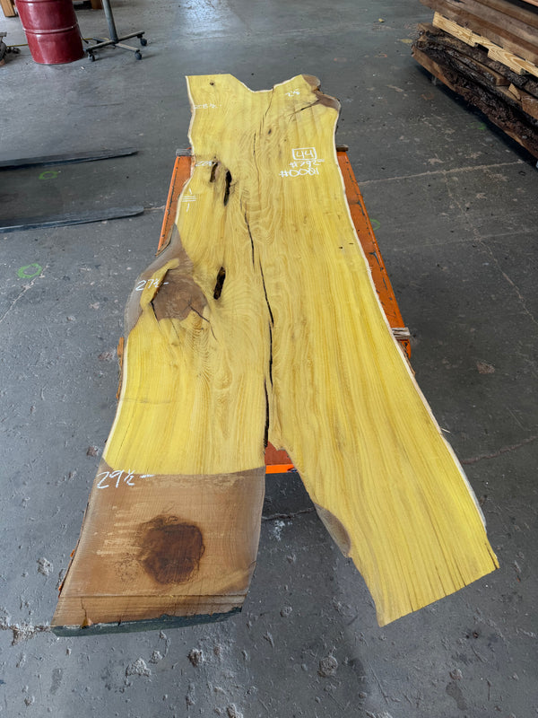 Osage Orange #OO01