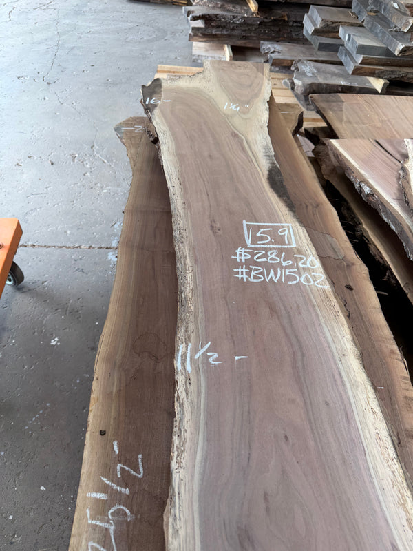 Walnut #BW1502
