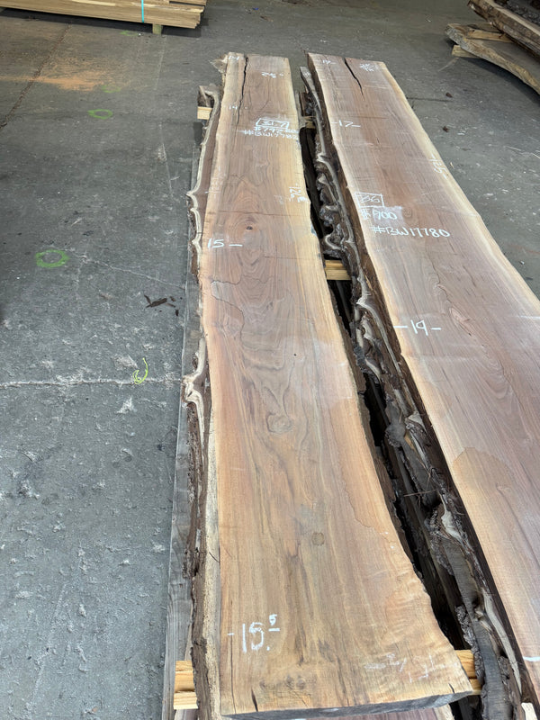 Black Walnut Live Edge Slab #BW17782, 31.7 BF, 126 in. Long
