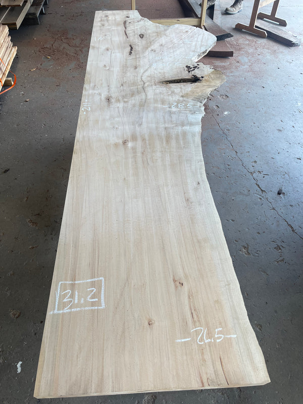Maple #MP1502