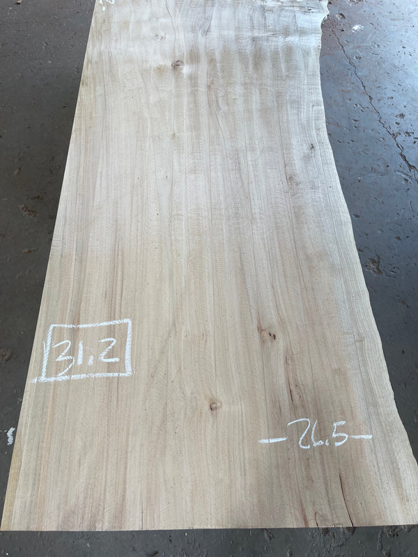 Maple #MP1502