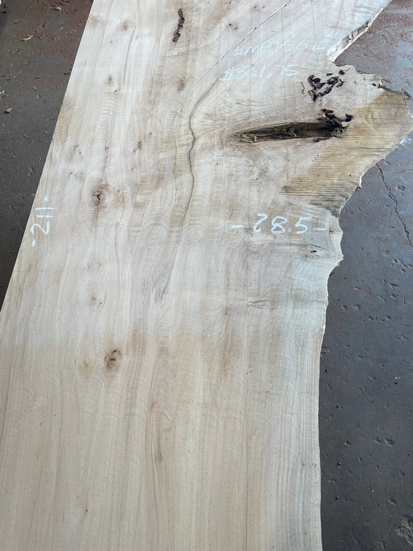 Maple #MP1502