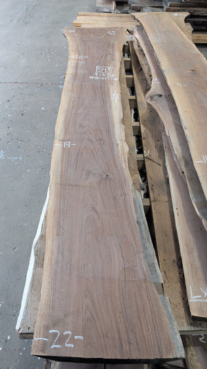 Black Walnut live edge slab #BW17781, full view