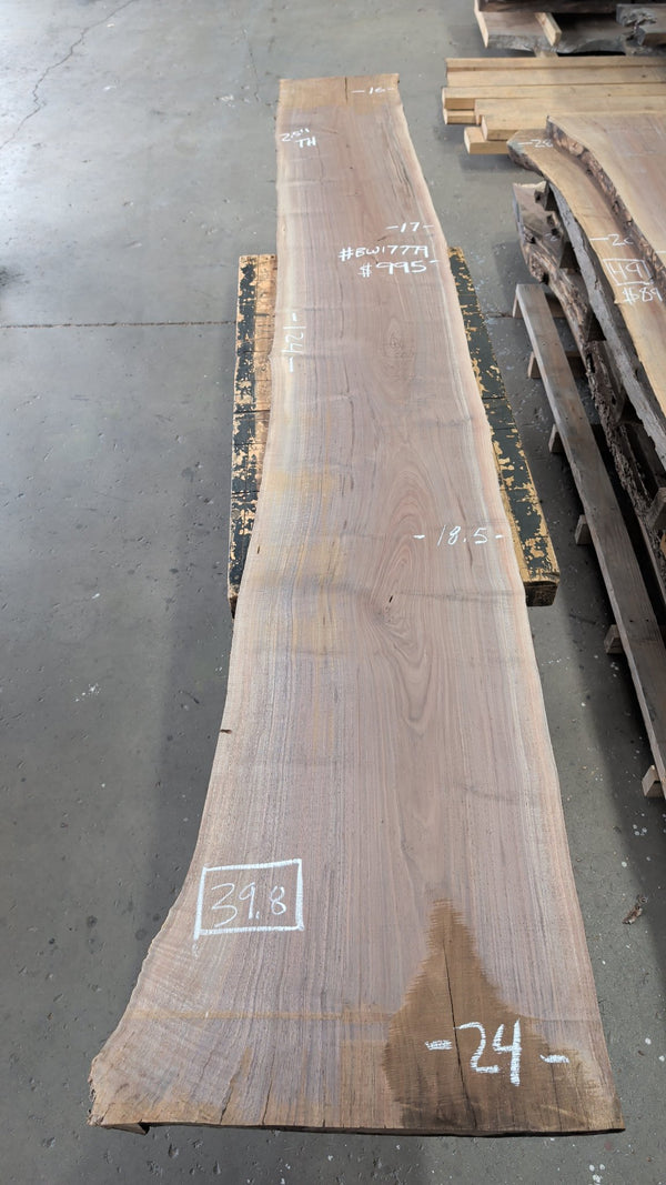 Black Walnut live edge slab #BW17779