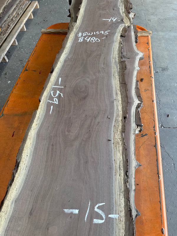 Black Walnut Live Edge Slab #BW1595 – 24 BF, 159" Long