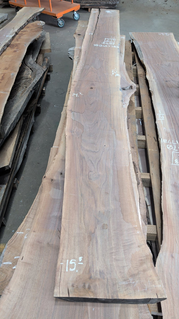Black Walnut live edge slab #BW17782, full slab