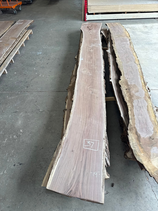 Black Walnut Live Edge Slab #BW1585 – 37 BF, 159" Long