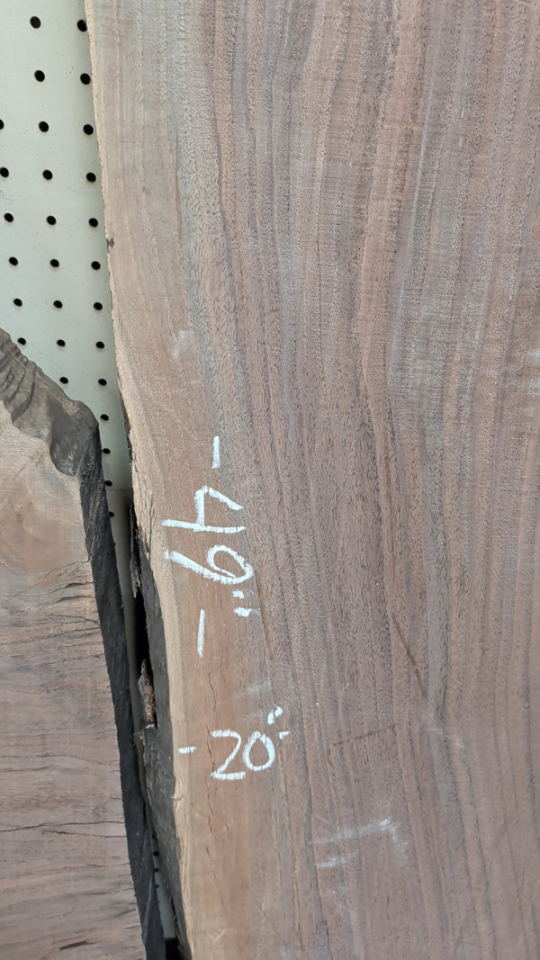 Black Walnut live edge slab #BW10, detail view