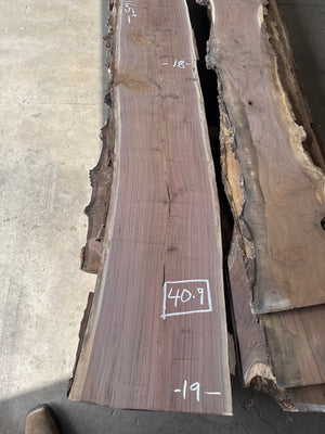 black walnut live edge slab #BW1584, full view