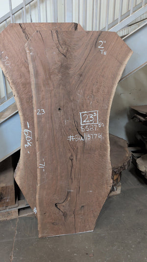 Black Walnut Live Edge Slab #BW15776, full slab