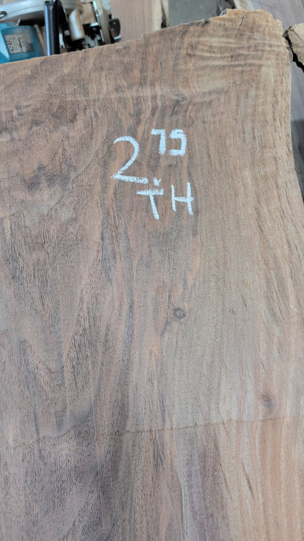 Black Walnut live edge slab #BW17781, thickness detail