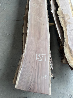black walnut live edge slab #BW1585, full view