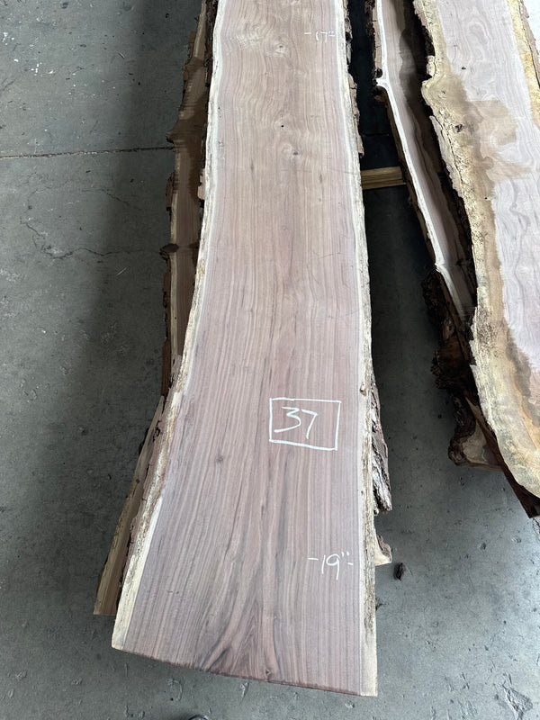 Black Walnut Live Edge Slab #BW1585 – 37 BF, 159" Long