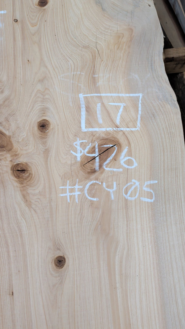 Bald Cypress live edge slab #CY05, 17 board feet