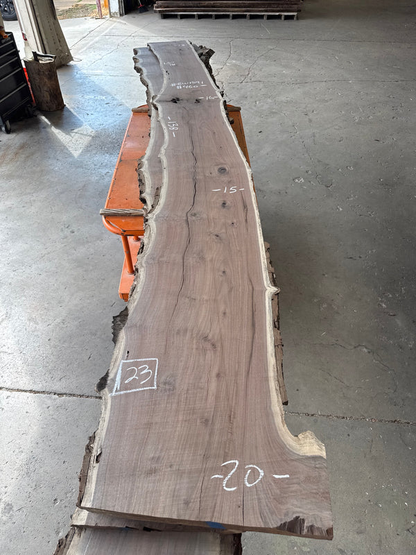 Black Walnut Live Edge Slab #BW1591 – 23 BF, 138" Long