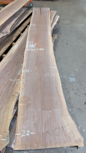 Black Walnut live edge slab #BW17780