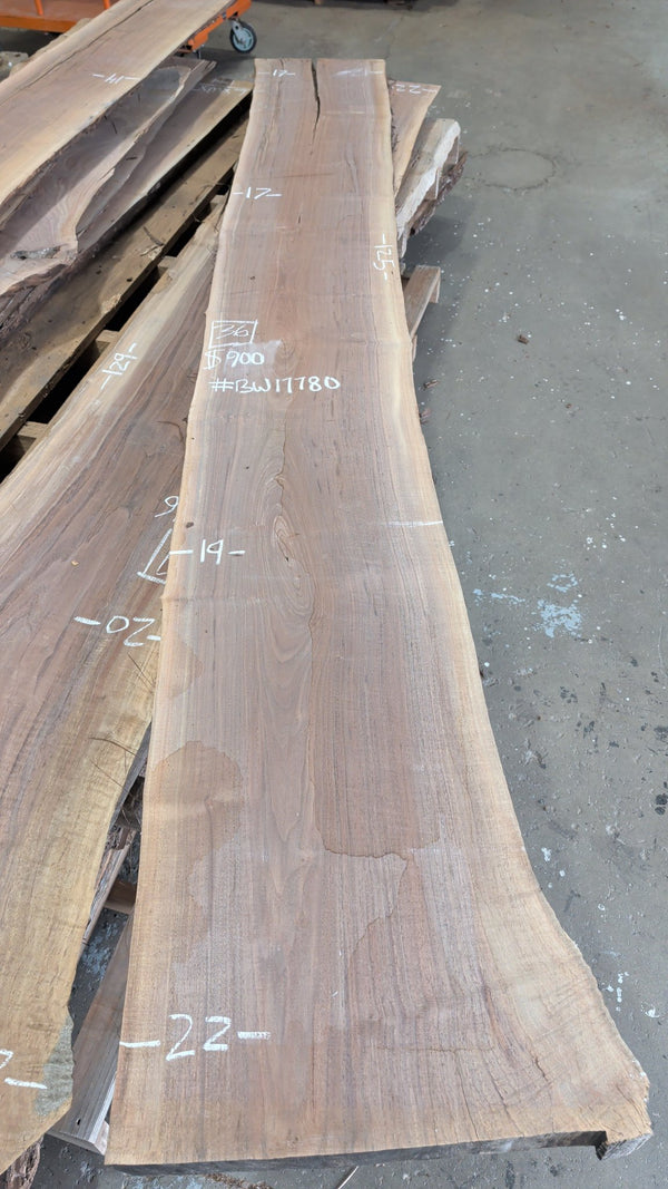 Black Walnut live edge slab #BW17780