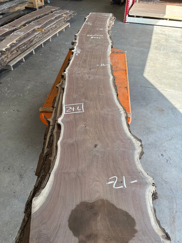 Black Walnut Live Edge Slab #BW1593 – 24.6 BF, 139" Long