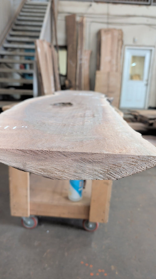 #BW97 slab detail view
