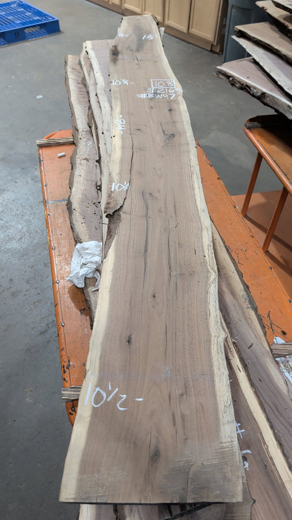 Black Walnut Live Edge Slab #BW47, 10.8 BF, 84 in. Long