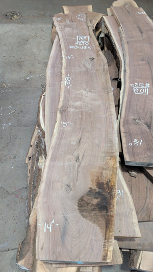 Black Walnut live edge slab #BW04