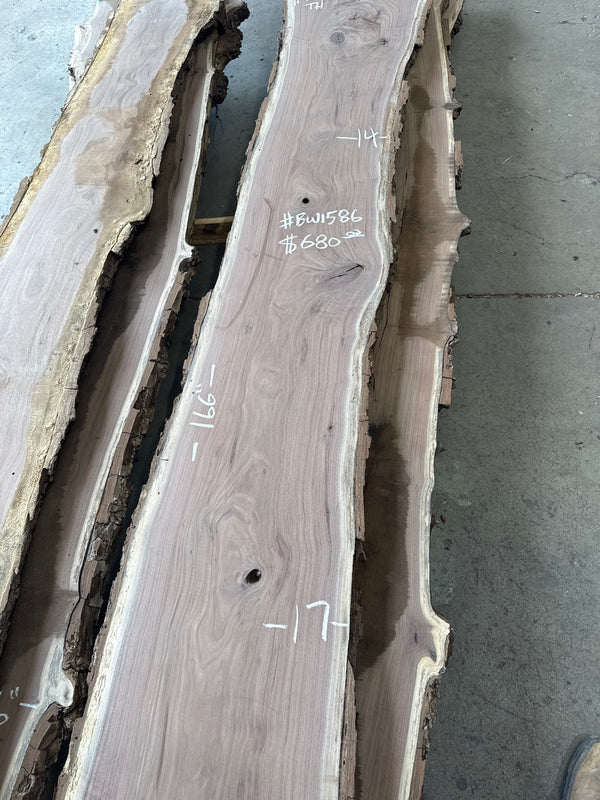 Black Walnut Live Edge Slab #BW1586 – 34 BF, 166" Long